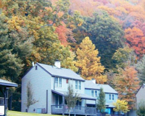 Depuy-Shawnee #2